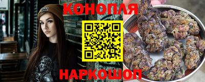 прущие крисы Кизляр