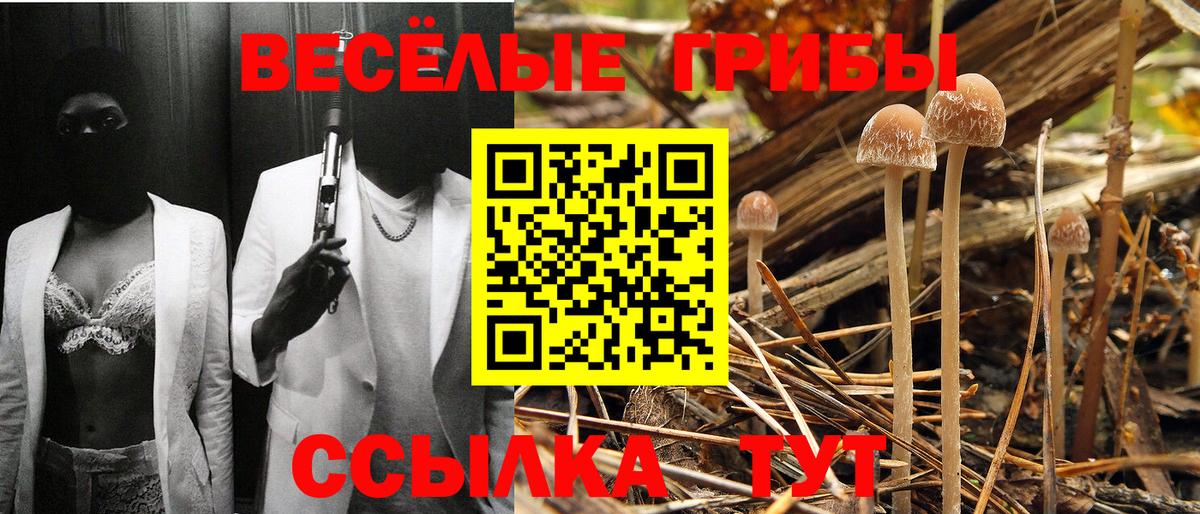Псилоцибиновые грибы прущие грибы  Псилоцибиновые грибы MAGIC MUSHROOMS  Вход с VPN  Гагарин 